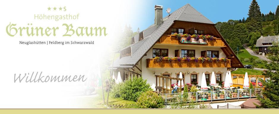 Hotel & Restaurant Gruener Baum - Die Gruene Oase Am Feldberg Фельдберг Экстерьер фото