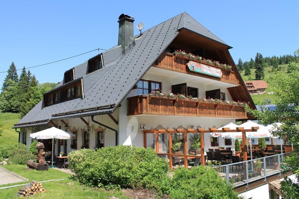 Hotel & Restaurant Gruener Baum - Die Gruene Oase Am Feldberg Фельдберг Экстерьер фото